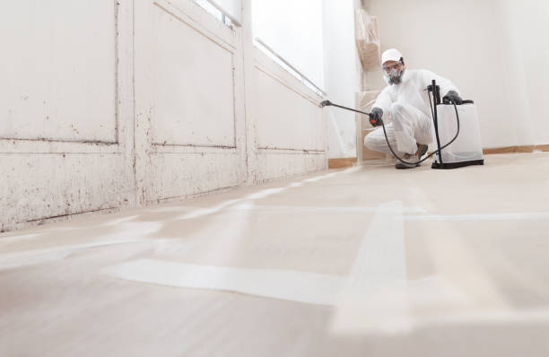 24/7 Emergency Mold Removal experts in Fort Lee, NJ
