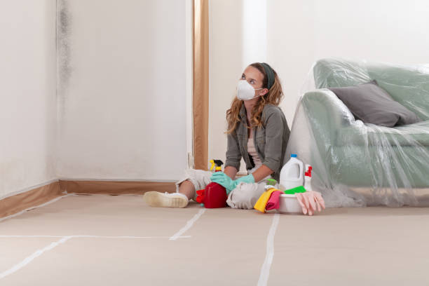 Reliable Mold Removal contractor in Fort Lee, NJ by 24 Hour Mold Removal
